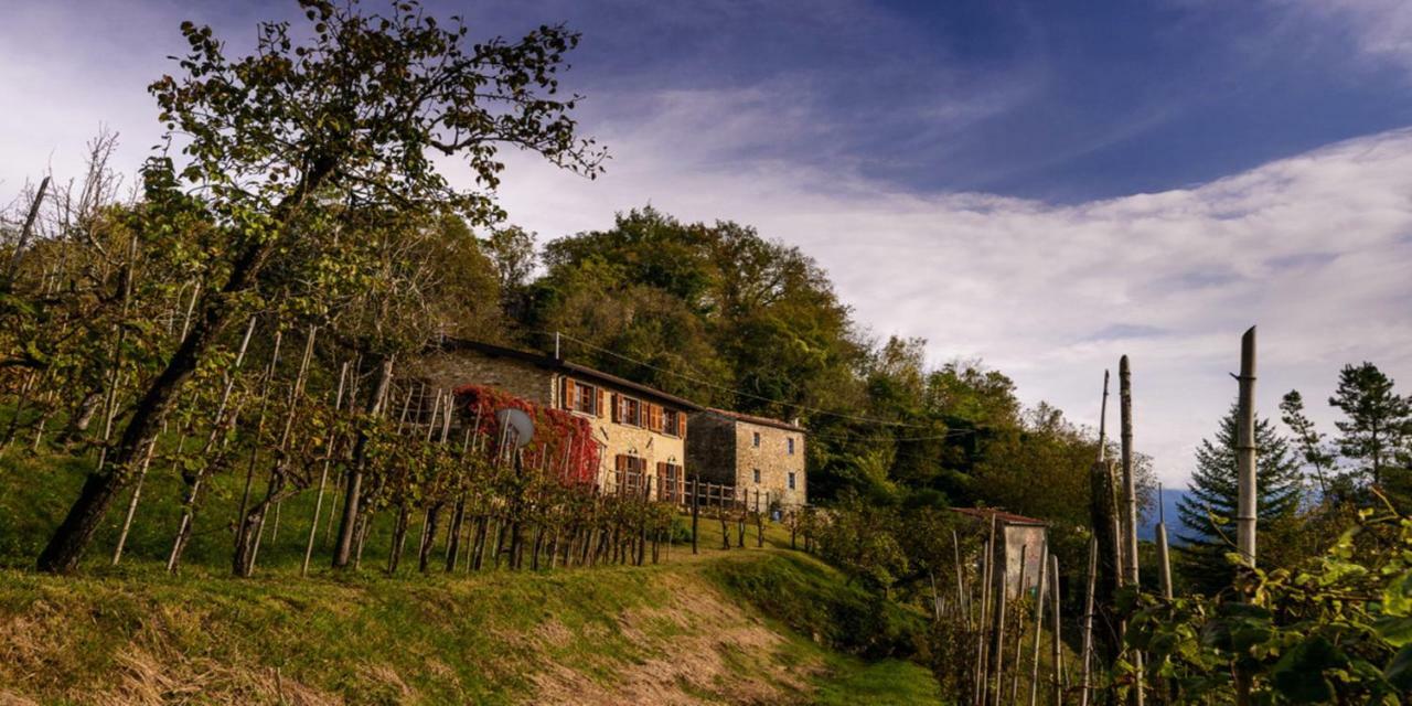 Villa Casa Del'Orto Bigliolo Exterior foto